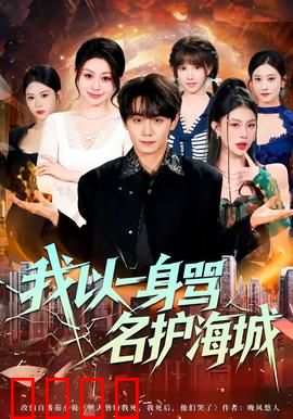 我以一身骂名护海城：英雄的代价