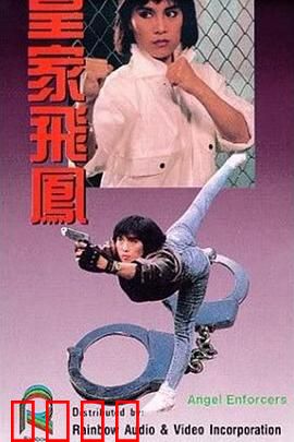 皇家飞凤粤语：女警勇破奇案
