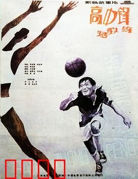 高中锋,矮教练:逆袭篮球梦