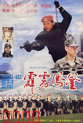 霹雳凤凰：铁血巾帼