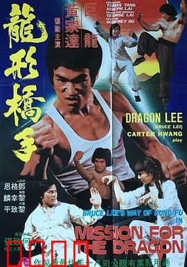 鹰拳：暗夜鹰踪