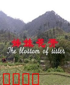 姊妹花开:姐妹情深共患难