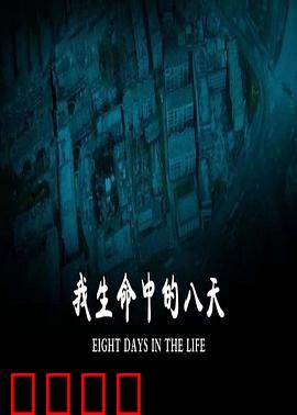 我生命中的八天:青春启示录