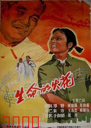 生命的火花：追寻生命意义