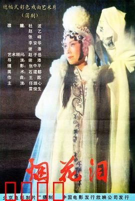 烟花泪：痴情女魂断烟花巷